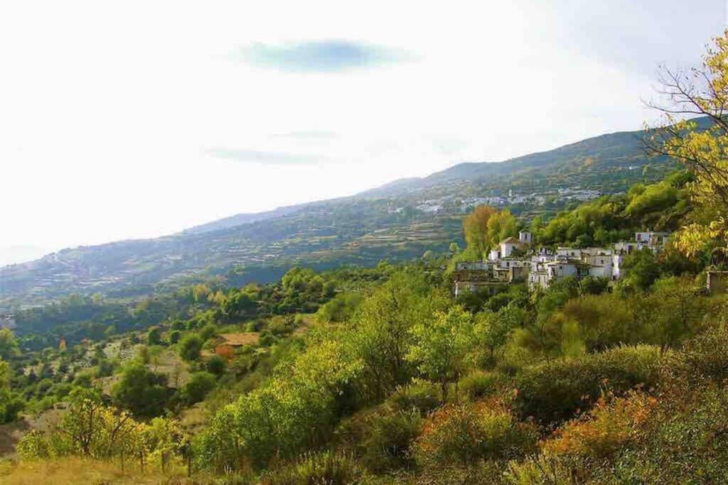 AtalbeitarCasa Carmela, Rural House With Spectacular Views, In An Exquisite Area别墅 外观 照片