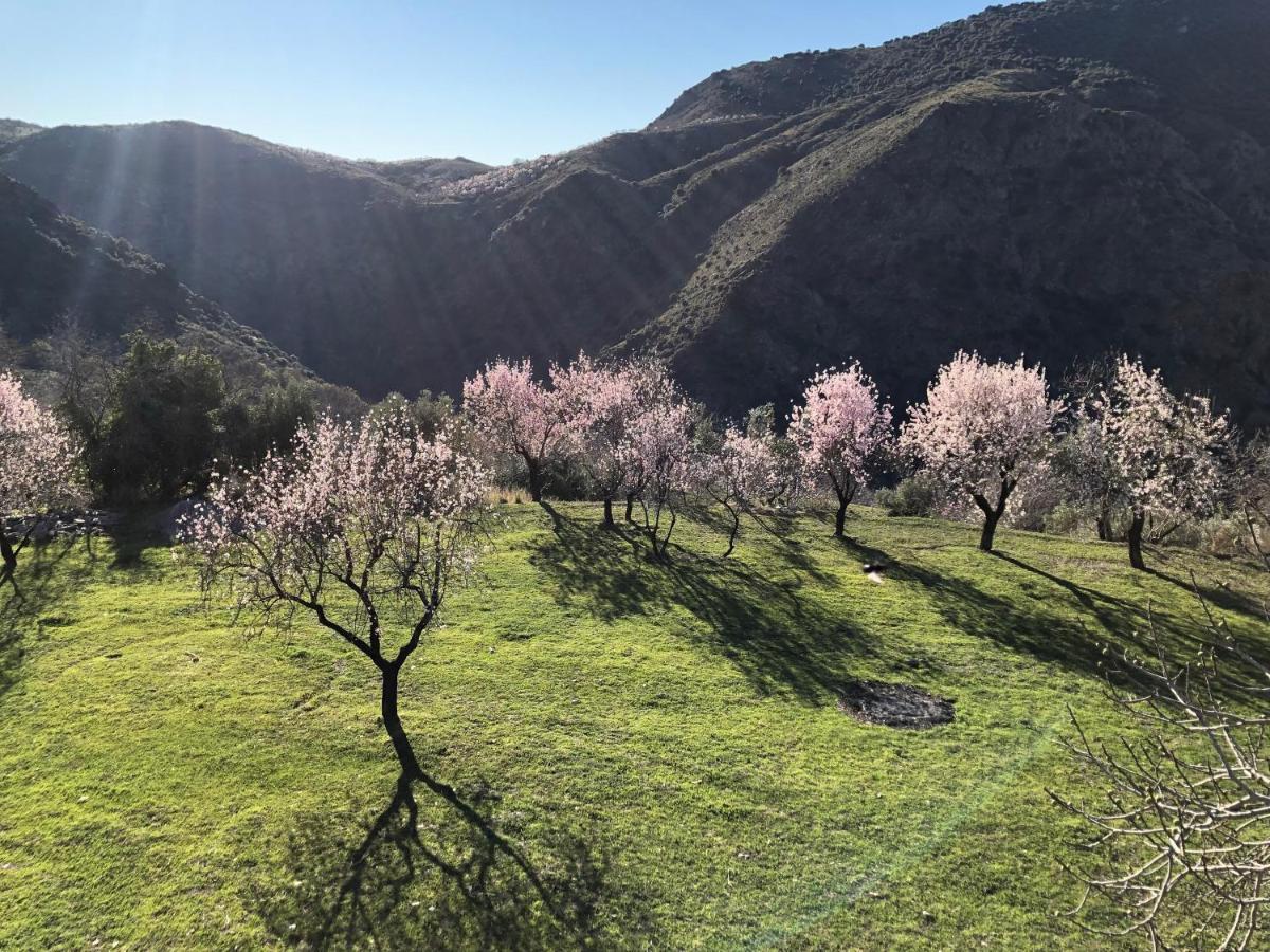 AtalbeitarCasa Carmela, Rural House With Spectacular Views, In An Exquisite Area别墅 外观 照片