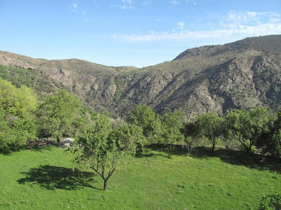 AtalbeitarCasa Carmela, Rural House With Spectacular Views, In An Exquisite Area别墅 外观 照片