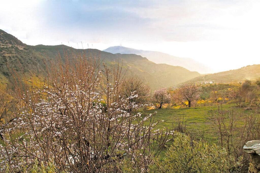 AtalbeitarCasa Carmela, Rural House With Spectacular Views, In An Exquisite Area别墅 外观 照片