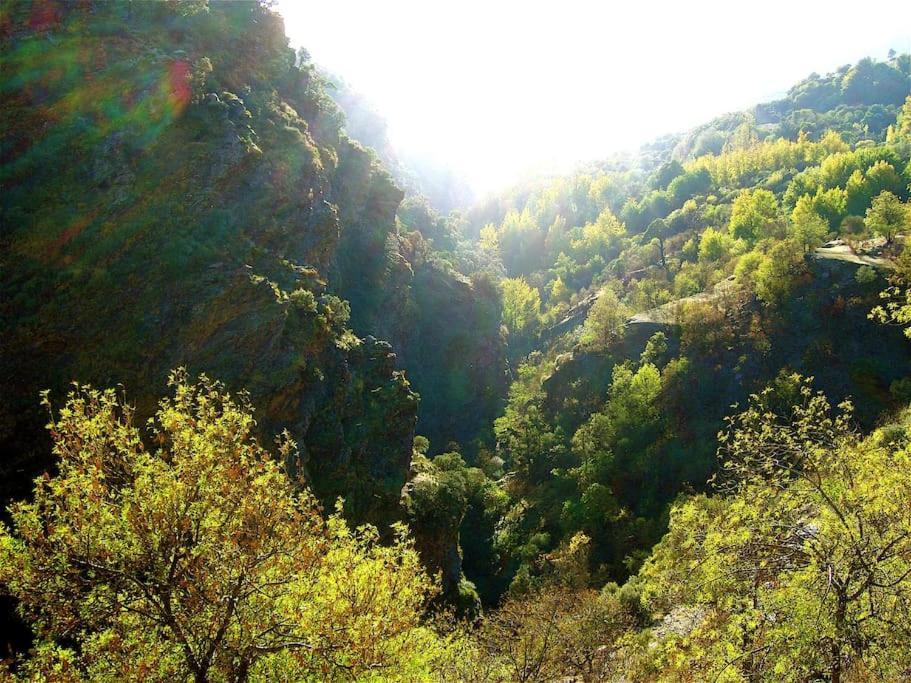 AtalbeitarCasa Carmela, Rural House With Spectacular Views, In An Exquisite Area别墅 外观 照片