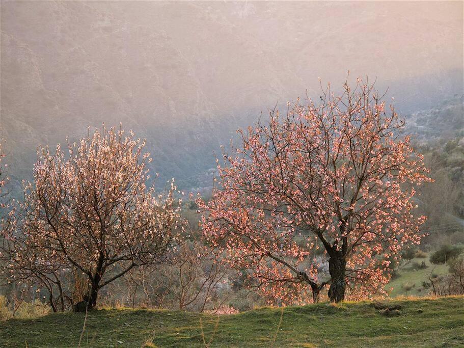 AtalbeitarCasa Carmela, Rural House With Spectacular Views, In An Exquisite Area别墅 外观 照片