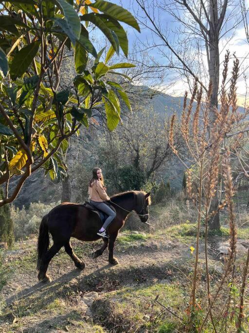 AtalbeitarCasa Carmela, Rural House With Spectacular Views, In An Exquisite Area别墅 外观 照片